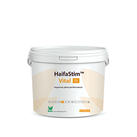 Mejora el rendimiento general de su cultivo, mejora la resistencia al estrés abiótico y estimula la actividad en la rizosfera.